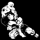 Jiu Jitsu em Uberaba