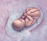 Obstetra e Obstetricia em Uberaba